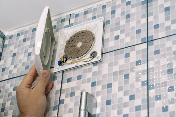 Best Home Air Vent Cleaning  in Theodore, AL