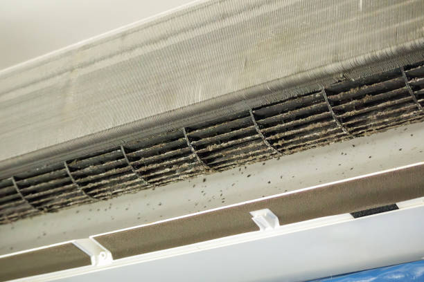 Best Affordable Air Duct Cleaning  in Theodore, AL