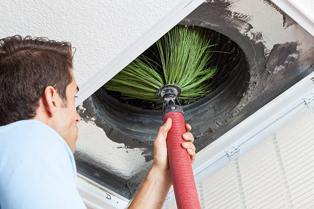 Best HVAC System Cleaning  in Theodore, AL